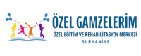 Özel Gamzelerim Website